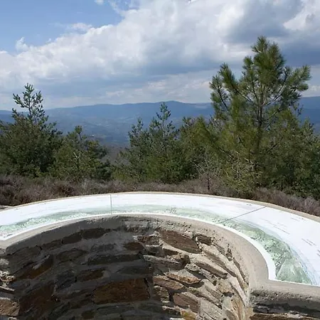 Du Pin En Cevennes