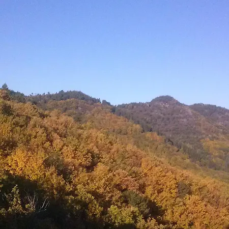 Du Pin En Cevennes Σπίτι διακοπών