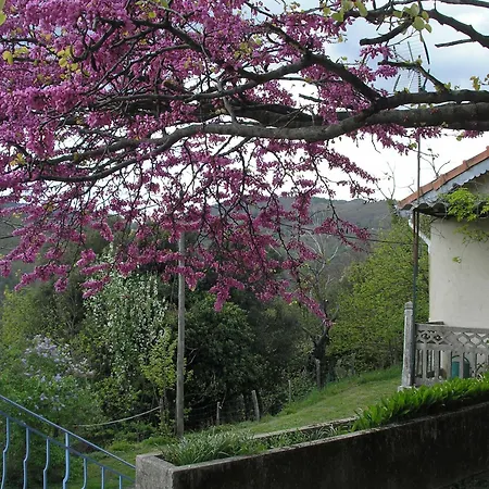 Du Pin En Cevennes Feriehus *