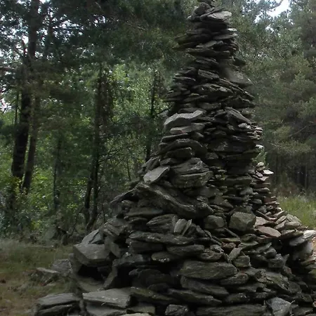Du Pin En Cevennes