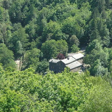 Du Pin En Cevennes